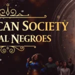 the american society of magical negroes online subtitrat in romana