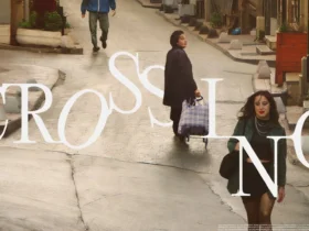 crossing film subtitrat in romana online 2024