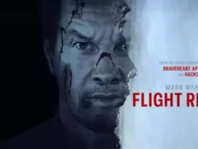 flight risksubtitrat in romana online gratuit din 2025 film