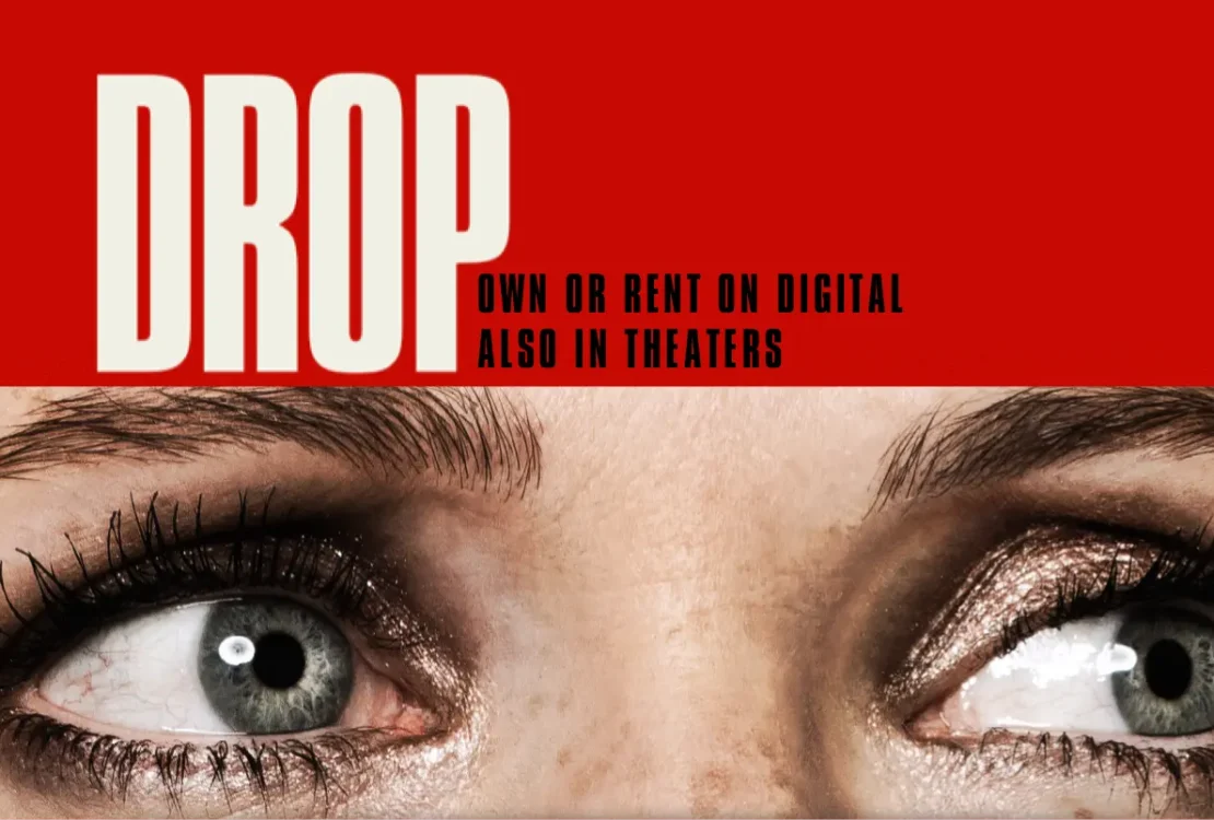 drop film mister thriller subtitrat in romana online integral din 2025